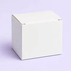 Paper carton